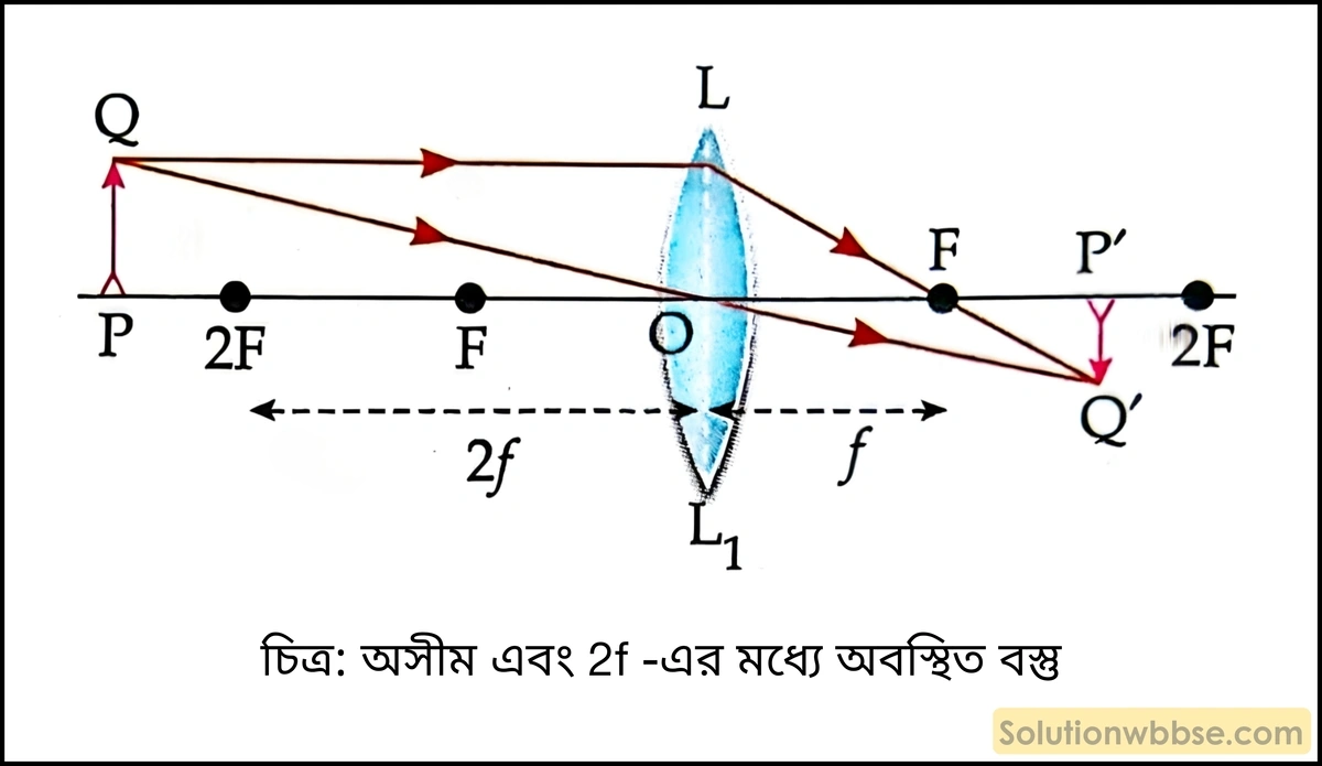 উত্তল লেন্স কীভাবে সদ্, অবশীর্ষ ও খর্বাকার প্রতিবিম্ব গঠন করে তা রেখাচিত্রের সাহায্যে দেখাও। 2 অসীম এবং 2f -এর মধ্যে অবস্থিত বস্তু