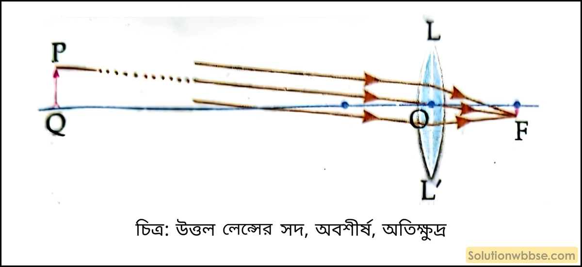 মাধ্যমিক ভৌতবিজ্ঞান - আলো - লেন্স, আলোর বিচ্ছুরণ, মানুষের চোখ ও আলোক তরঙ্গ 8 উত্তল লেন্সের সদ, অবশীর্ষ, অতিক্ষুদ্র