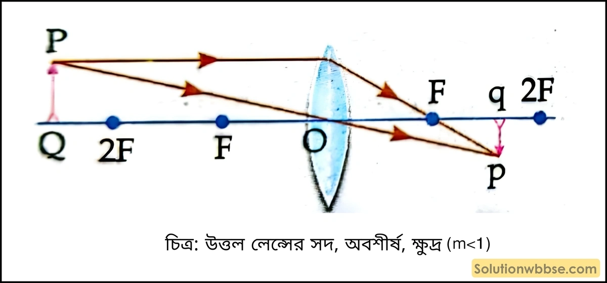 মাধ্যমিক ভৌতবিজ্ঞান - আলো - লেন্স, আলোর বিচ্ছুরণ, মানুষের চোখ ও আলোক তরঙ্গ 12 উত্তল লেন্সের সদ অবশীর্ষ ক্ষুদ্র