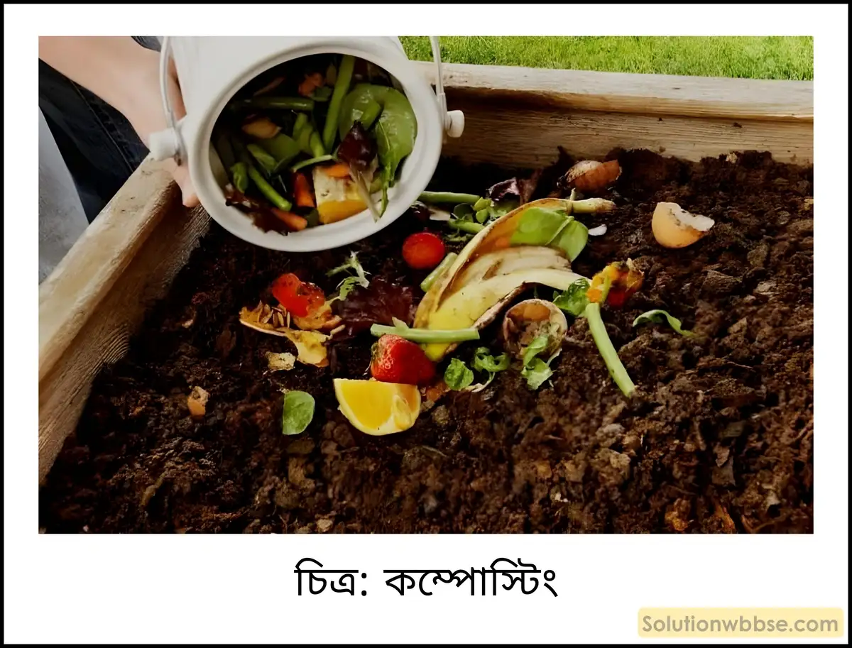 মাধ্যমিক ভূগোল - বর্জ্য ব্যবস্থাপনা - ব্যাখ্যামূলক প্রশ্ন ও উত্তর 7 কম্পোস্টিং