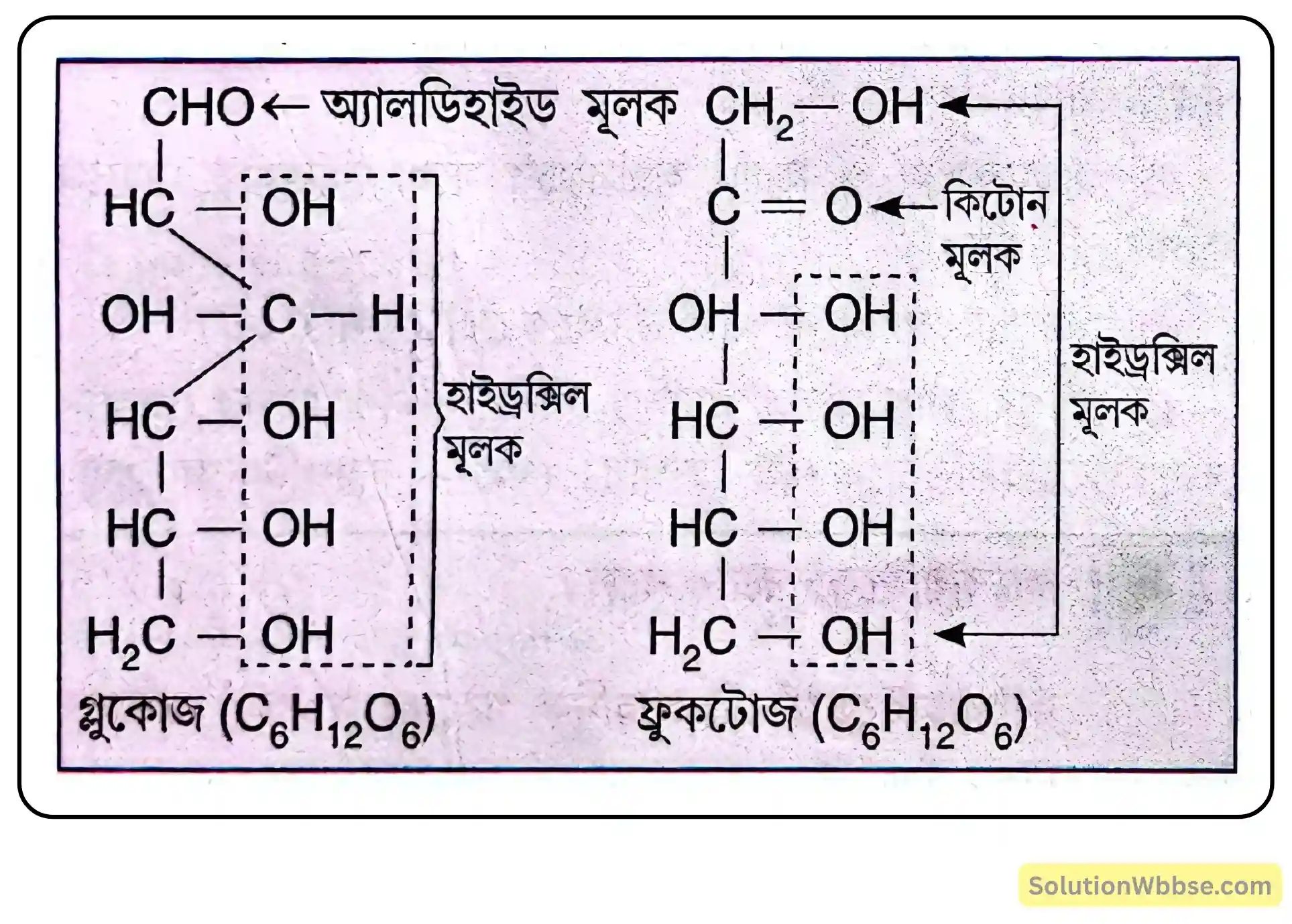 নবম শ্রেণী জীবনবিজ্ঞান - জীবন সংগঠনের স্তর - জৈব অণু এবং তাদের বৈশিষ্ট্য - রচনাধর্মী প্রশ্ন ও উত্তর 3 কার্বোহাইড্রেটের রাসায়নিক গঠন