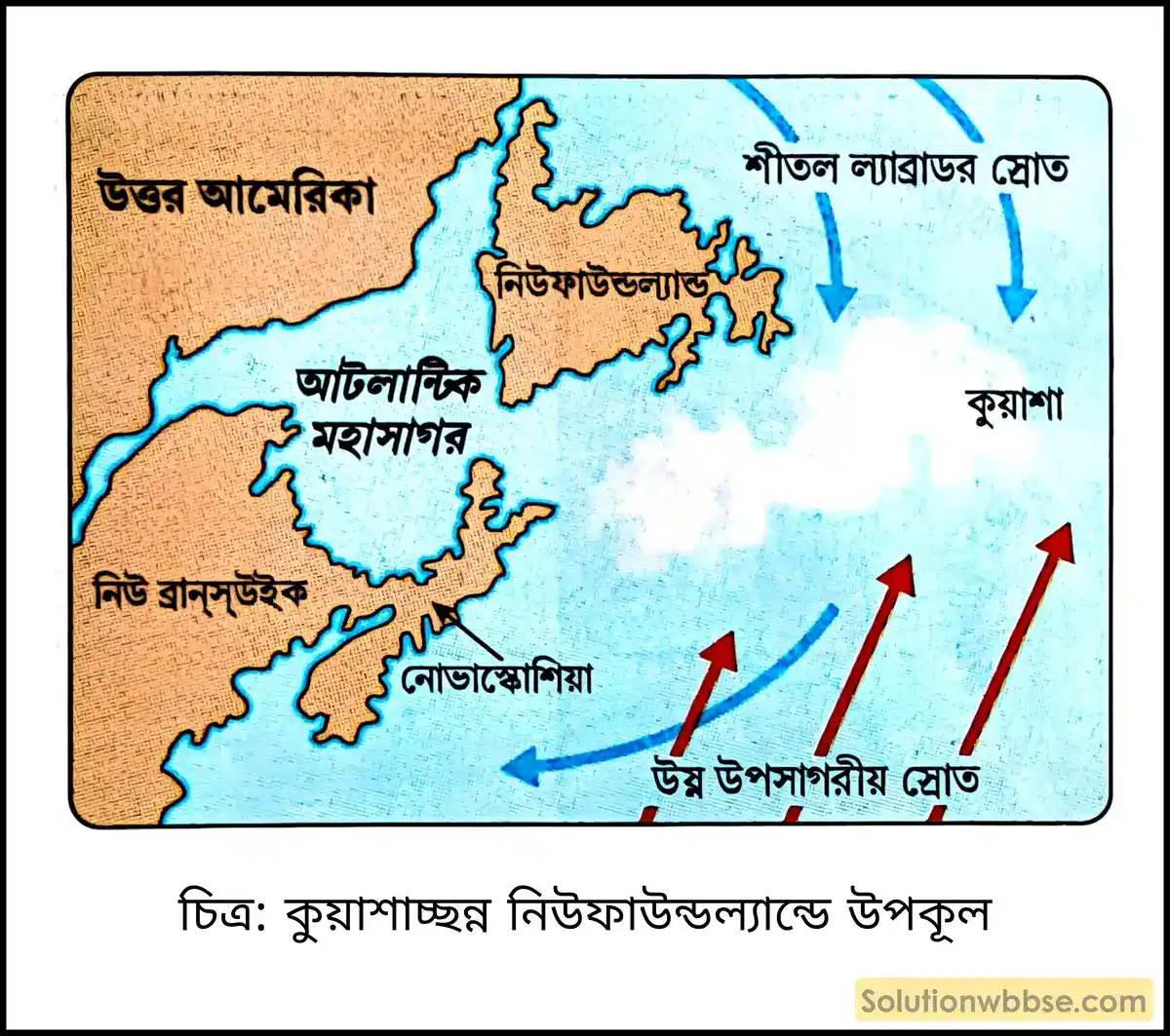 মাধ্যমিক ভূগোল - বারিমণ্ডল - সমুদ্রস্রোত - ব্যাখ্যামূলক প্রশ্ন ও উত্তর 3 কুয়াশাচ্ছন্ন নিউফাউন্ডল্যান্ডে উপকূল