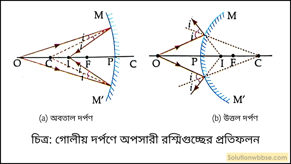 গোলীয় দর্পণে অপসারী আলোক রশ্মিগুচ্ছের প্রতিফলন চিত্রের সাহায্যে বুঝিয়ে দাও।