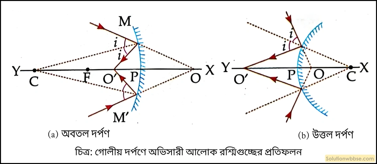 গোলীয় দর্পণে অভিসারী আলোক রশ্মিগুচ্ছের প্রতিফলন চিত্রের সাহায্যে বুঝিয়ে দাও।