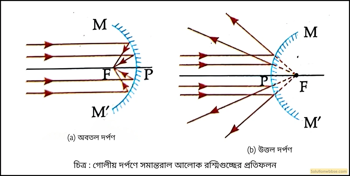 গোলীয় দর্পণে প্রধান অক্ষের সমান্তরাল আলোক রশ্মিগুচ্ছের প্রতিফলন চিত্রসহ 2 গোলীয় দর্পণে সমান্তরাল আলোক রশ্মিগুচ্ছের প্রতিফলন