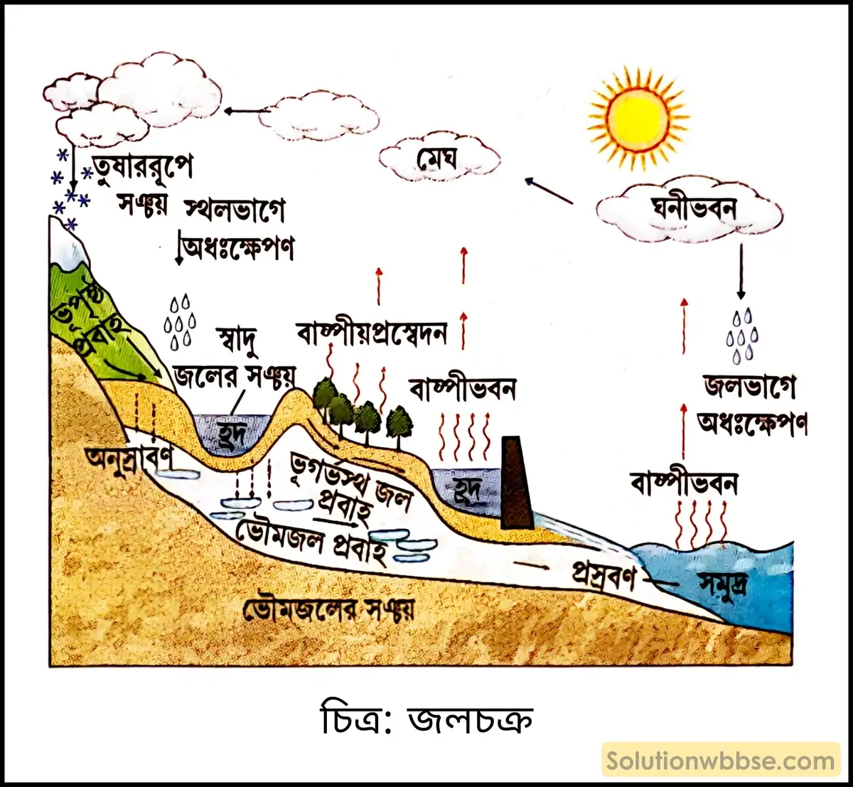 মাধ্যমিক ভূগোল - বায়ুমণ্ডল - আর্দ্রতা ও অধঃক্ষেপণ - ব্যাখ্যামূলক প্রশ্ন ও উত্তর 7 জলচক্র