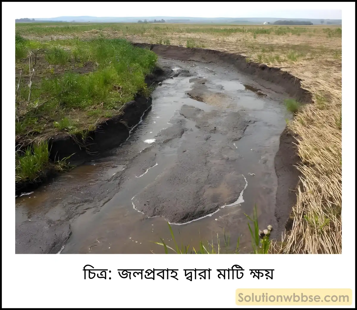 মাধ্যমিক ভূগোল - ভারতের প্রাকৃতিক পরিবেশ - ভারতের মৃত্তিকা - ব্যাখ্যামূলক প্রশ্ন ও উত্তর 7 জলপ্রবাহ দ্বারা মাটি ক্ষয়