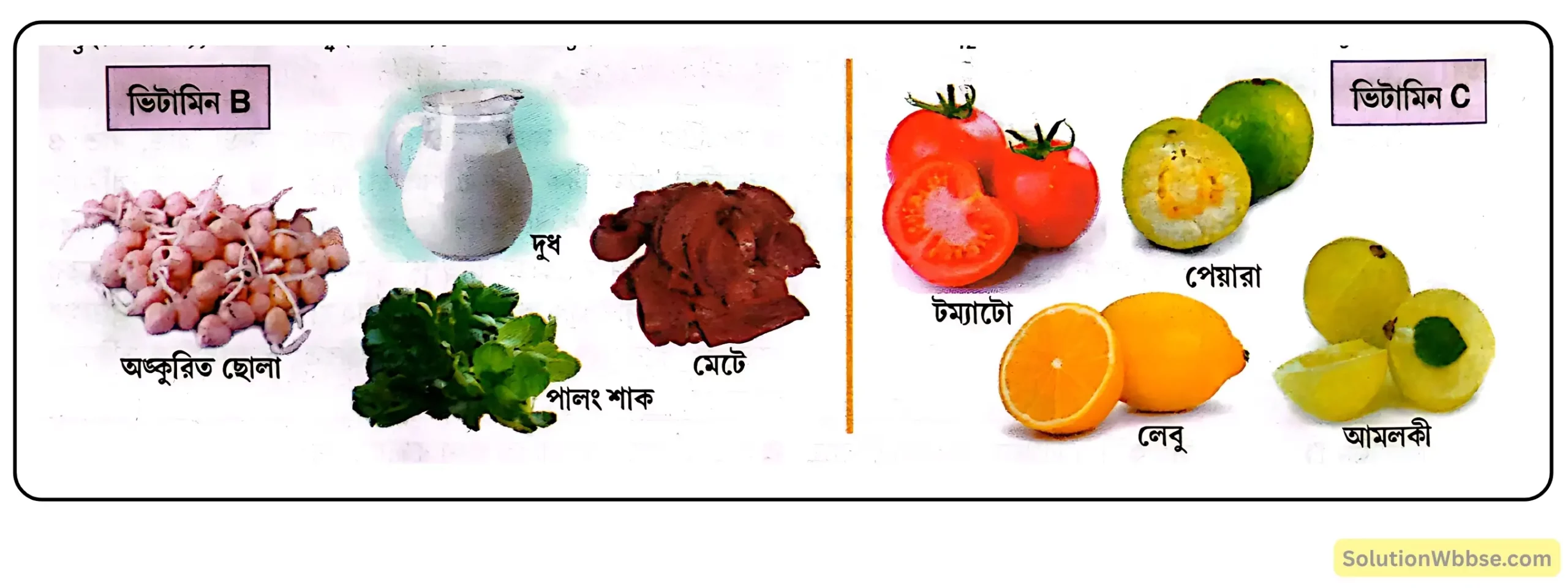 নবম শ্রেণী জীবনবিজ্ঞান - জীবন সংগঠনের স্তর - জৈব অণু এবং তাদের বৈশিষ্ট্য - রচনাধর্মী প্রশ্ন ও উত্তর 22 জলে দ্রাব্য ভিটামিন