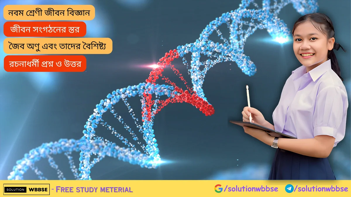 নবম শ্রেণী জীবনবিজ্ঞান - জীবন সংগঠনের স্তর - জৈব অণু এবং তাদের বৈশিষ্ট্য - রচনাধর্মী প্রশ্ন ও উত্তর 1 জৈব অণু এবং তাদের বৈশিষ্ট্য – রচনাধর্মী প্রশ্ন ও উত্তর