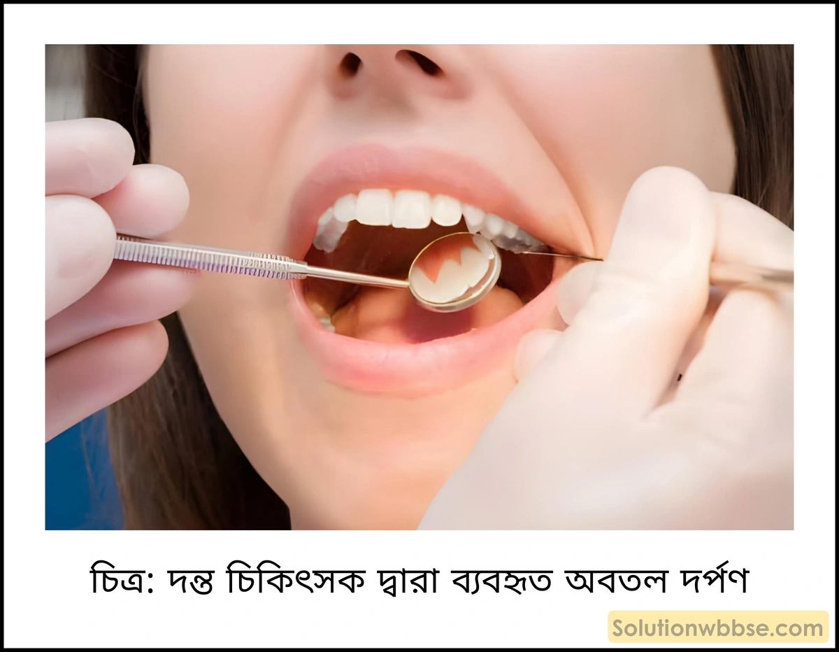 দন্ত চিকিৎসকগণ অবতল দর্পণ ব্যবহার করেন কেন?