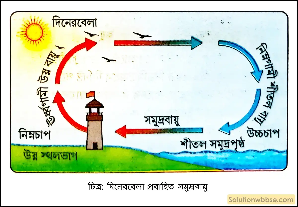 মাধ্যমিক ভূগোল - বায়ুমণ্ডল - বায়ুর চাপ বলয় ও বায়ুপ্রবাহ - দীর্ঘধর্মী প্রশ্ন ও উত্তর 11 দিনেরবেলা প্রবাহিত সমুদ্র বায়ু
