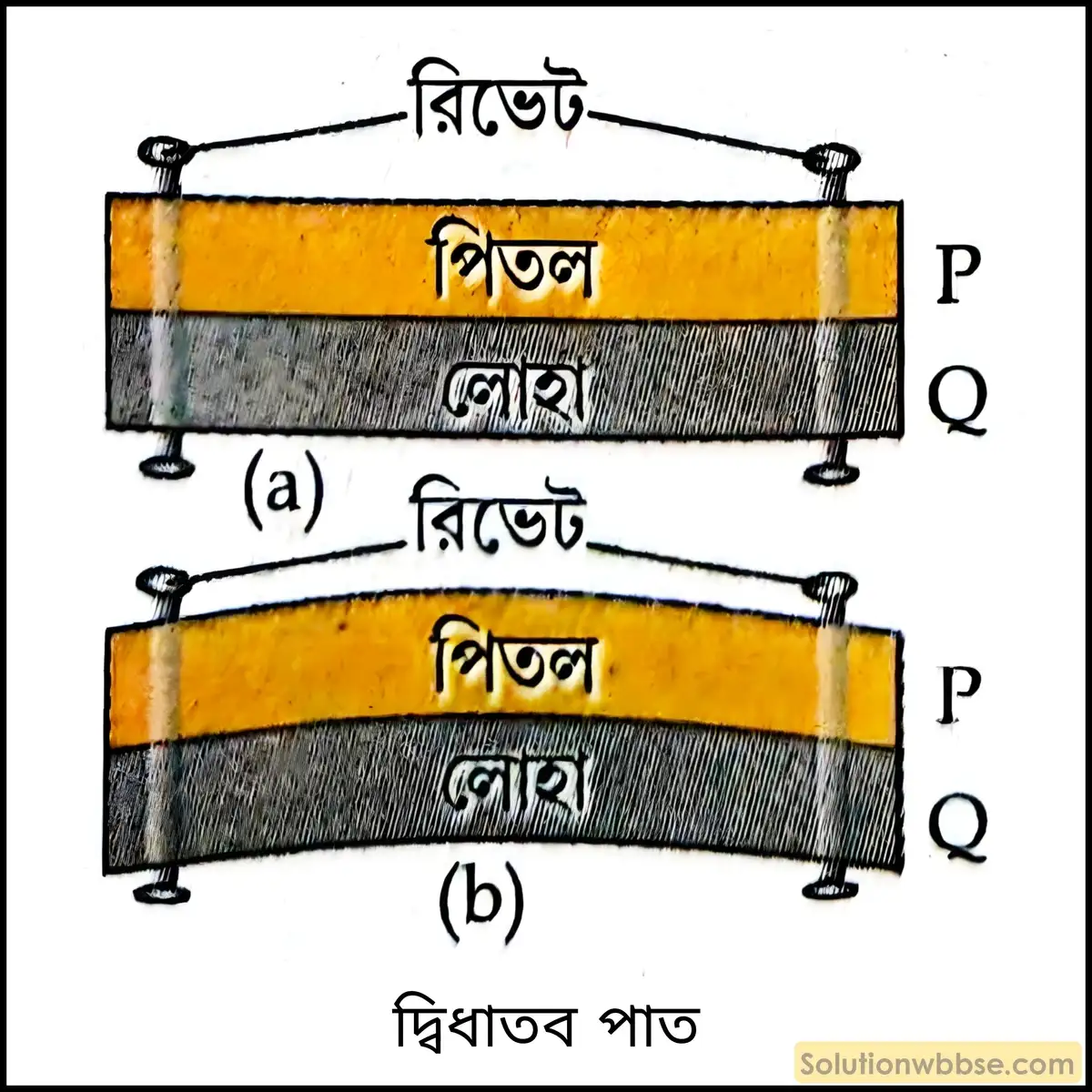 একটি পরীক্ষার সাহায্যে প্রমাণ করো যে, একই উষ্ণতা বৃদ্ধিতে বিভিন্ন কঠিন পদার্থের প্রসারণ বিভিন্ন হয়। 2 একটি পরীক্ষার সাহায্যে প্রমাণ করো যে, একই উষ্ণতা বৃদ্ধিতে বিভিন্ন কঠিন পদার্থের প্রসারণ বিভিন্ন হয়।