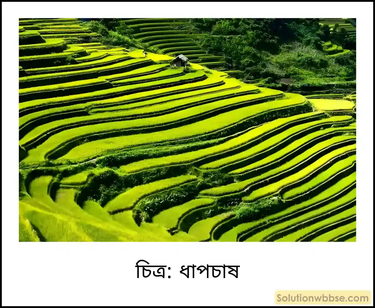 মাধ্যমিক ভূগোল - ভারতের প্রাকৃতিক পরিবেশ - ভারতের মৃত্তিকা - ব্যাখ্যামূলক প্রশ্ন ও উত্তর 6 ধাপচাষ