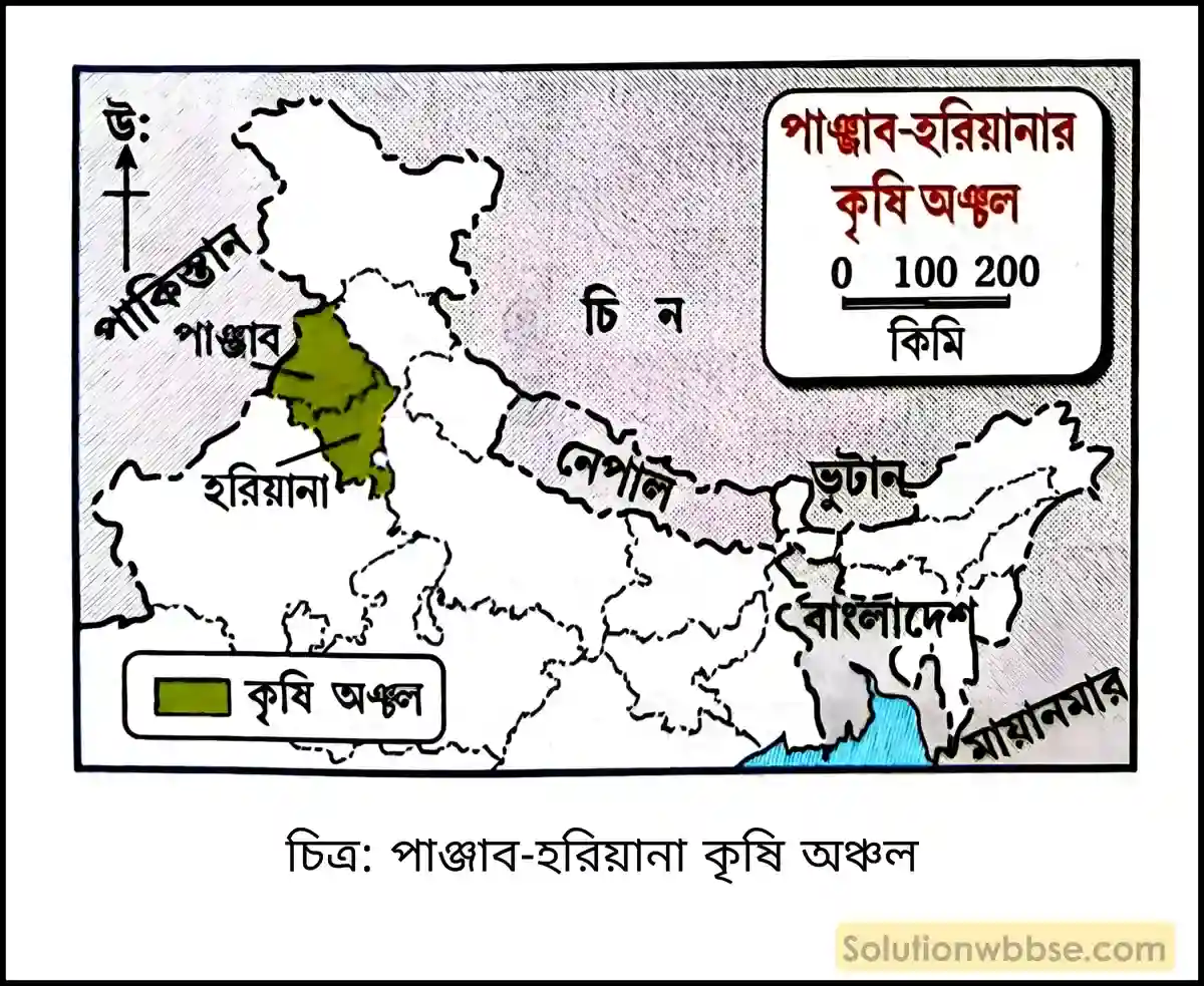 মাধ্যমিক ভূগোল - ভারতের অর্থনৈতিক পরিবেশ - ভারতের কৃষি - দীর্ঘধর্মী প্রশ্ন ও উত্তর 8 পাঞ্জাব-হরিয়ানা কৃষি অঞ্চল