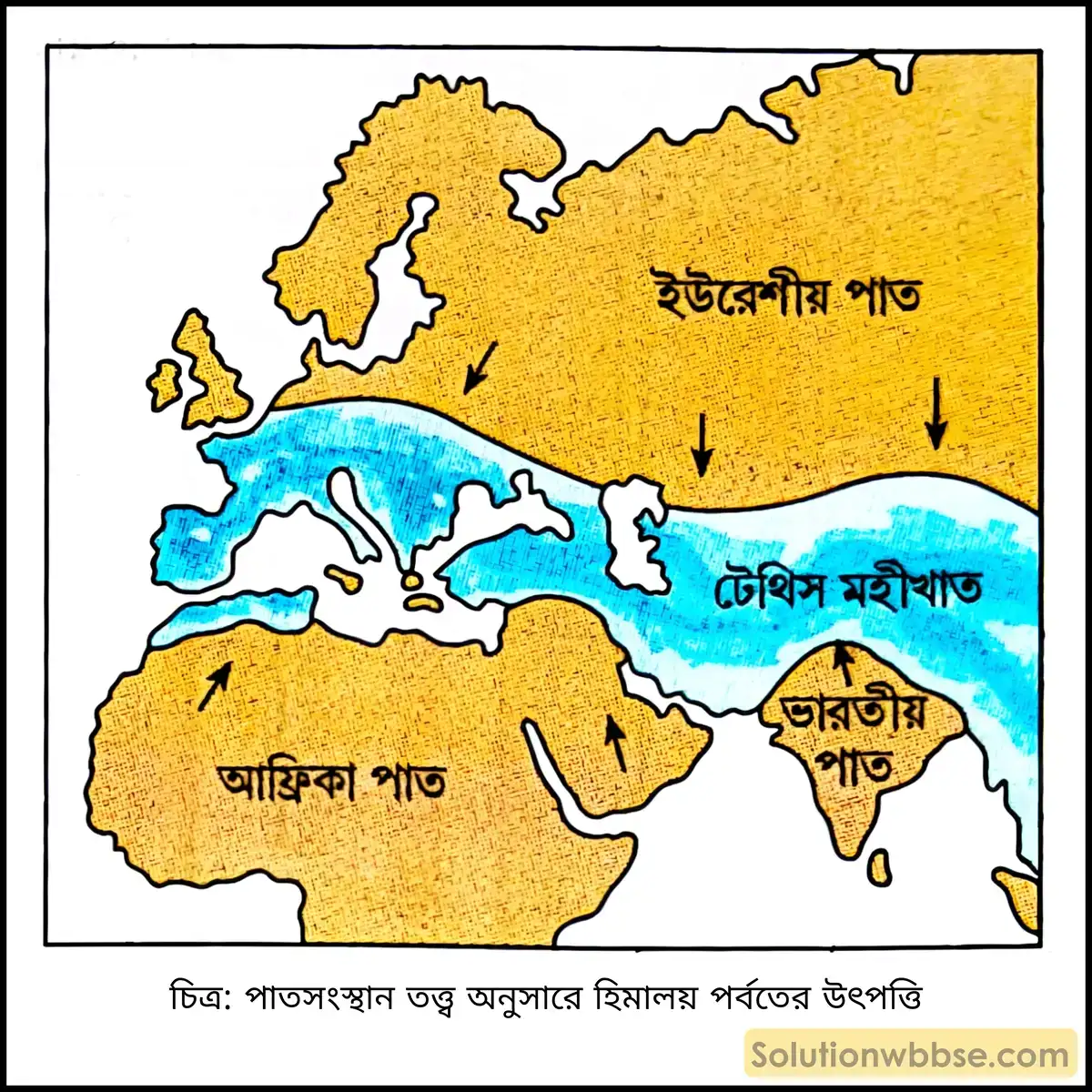 মাধ্যমিক ভূগোল - ভারতের প্রাকৃতিক পরিবেশ - ভারতের ভূপ্রকৃতি - দীর্ঘধর্মী প্রশ্ন ও উত্তর 3 পাতসংস্থান তত্ত্ব অনুসারে হিমালয় পর্বতের উৎপত্তি