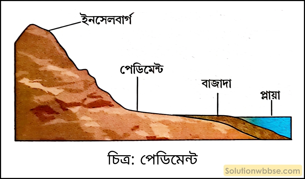মাধ্যমিক ভূগোল - বহির্জাত প্রক্রিয়া ও তাদের দ্বারা সৃষ্ট ভূমিরূপ - বায়ুর বিভিন্ন কাজ দ্বারা সৃষ্ট ভূমিরূপ - দীর্ঘধর্মী প্রশ্ন ও উত্তর 7 পেডিমেন্ট