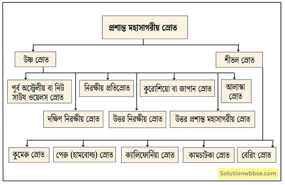 মাধ্যমিক ভূগোল - বারিমণ্ডল - সমুদ্রস্রোত - ব্যাখ্যামূলক প্রশ্ন ও উত্তর 9 প্রশান্ত মহাসাগরীয় স্রোত