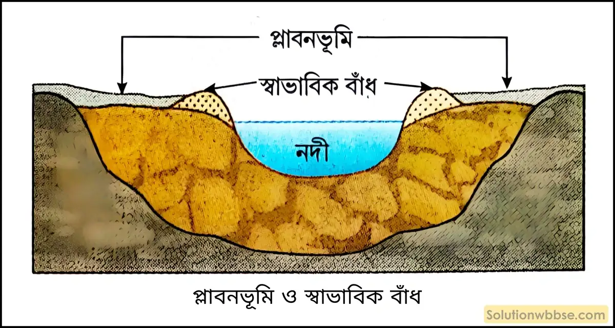 মাধ্যমিক ভুগোল - বহির্জাত প্রক্রিয়া ও তাদের দ্বারা সৃষ্ট ভূমিরূপ - বহির্জাত প্রক্রিয়া ও নদীর কাজ দ্বারা সৃষ্ট ভূমিরূপ - দীর্ঘধর্মী প্রশ্ন ও উত্তর 10 প্লাবনভূমি ও স্বাভাবিক বাঁধ
