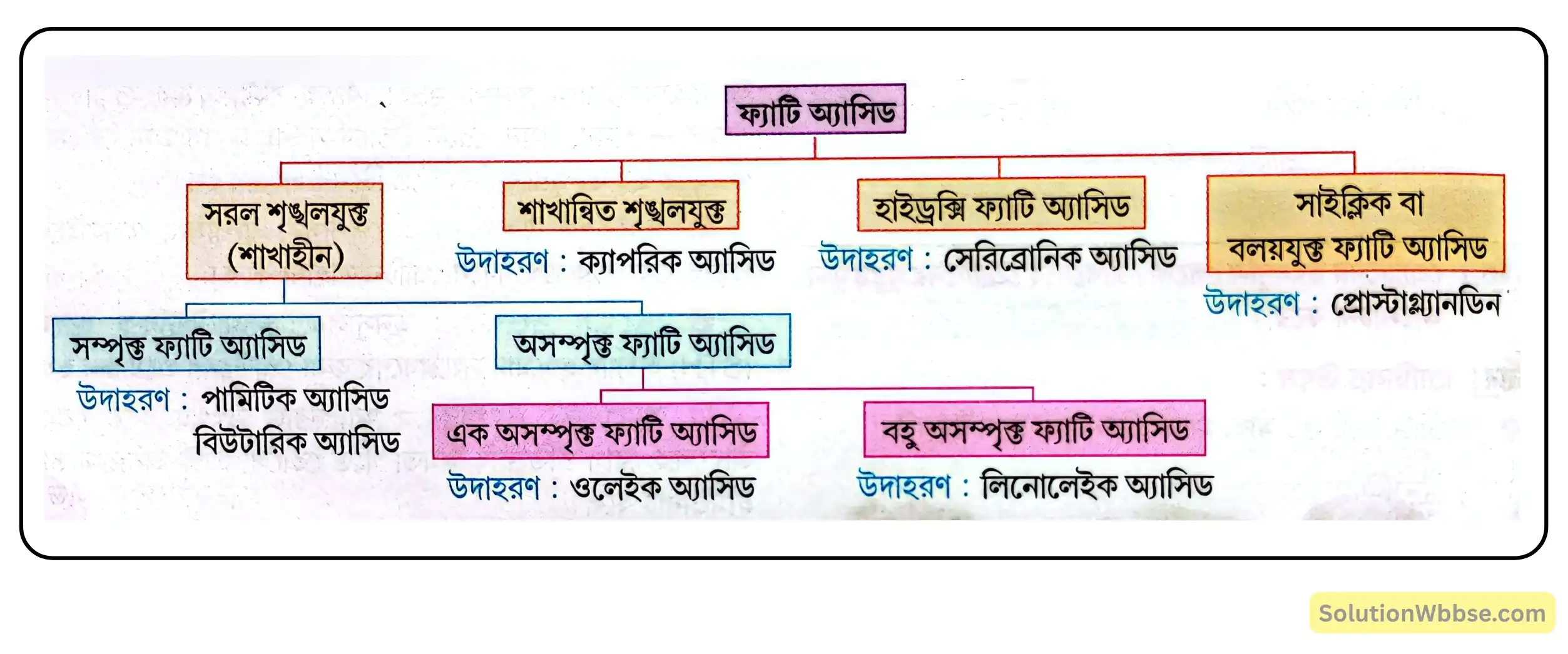 নবম শ্রেণী জীবনবিজ্ঞান - জীবন সংগঠনের স্তর - জৈব অণু এবং তাদের বৈশিষ্ট্য - রচনাধর্মী প্রশ্ন ও উত্তর 14 ফ্যাটি অ্যাসিড (Fatty Acid)