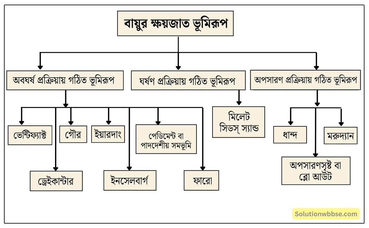 মাধ্যমিক ভূগোল - বহির্জাত প্রক্রিয়া ও তাদের দ্বারা সৃষ্ট ভূমিরূপ - বায়ুর বিভিন্ন কাজ দ্বারা সৃষ্ট ভূমিরূপ - দীর্ঘধর্মী প্রশ্ন ও উত্তর 2 বায়ুর ক্ষয়কার্যের ফলে সৃষ্ট ভূমিরূপের বর্ণনা দাও।
