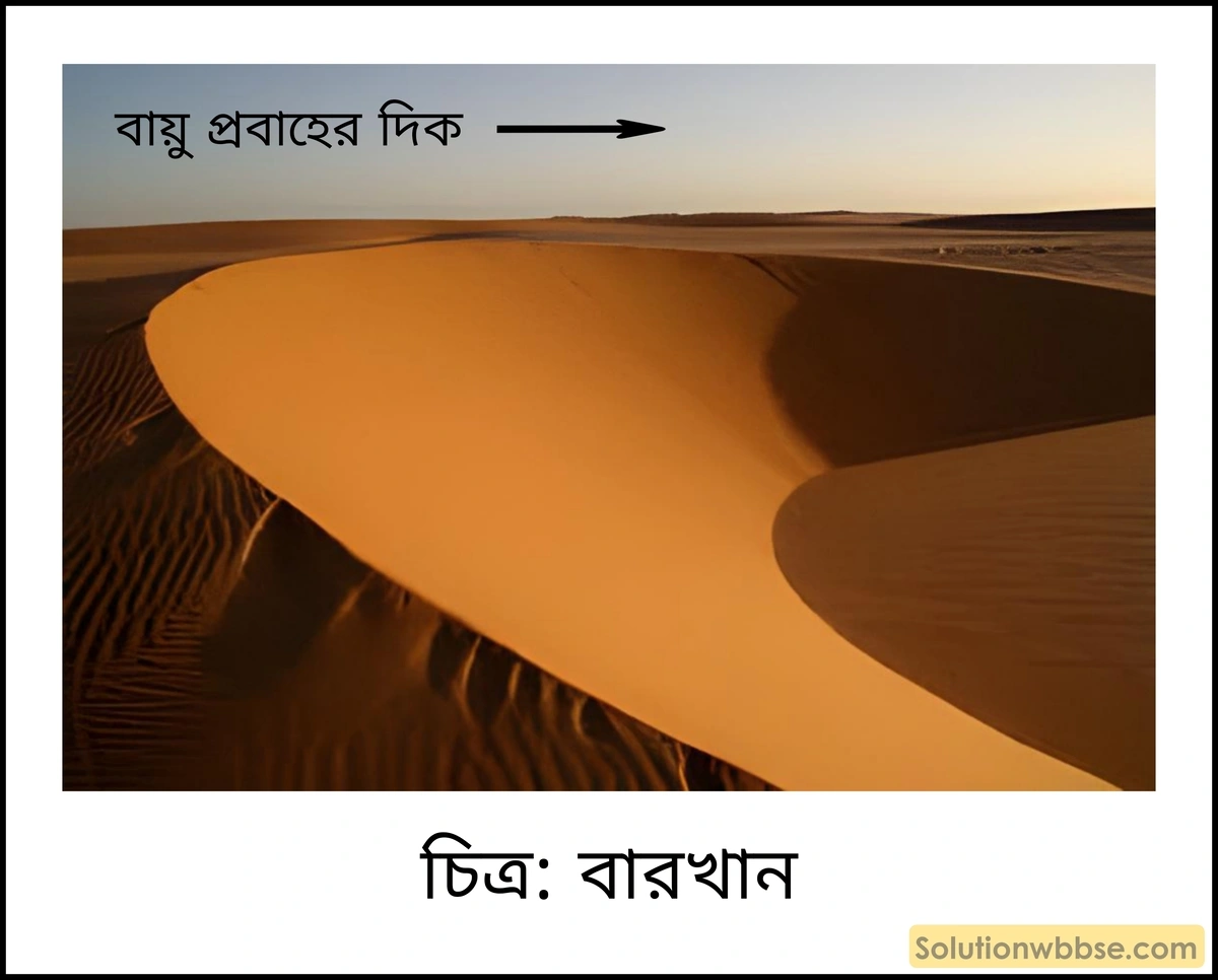 মাধ্যমিক ভূগোল - বহির্জাত প্রক্রিয়া ও তাদের দ্বারা সৃষ্ট ভূমিরূপ - বায়ুর বিভিন্ন কাজ দ্বারা সৃষ্ট ভূমিরূপ - দীর্ঘধর্মী প্রশ্ন ও উত্তর 11 বারখান