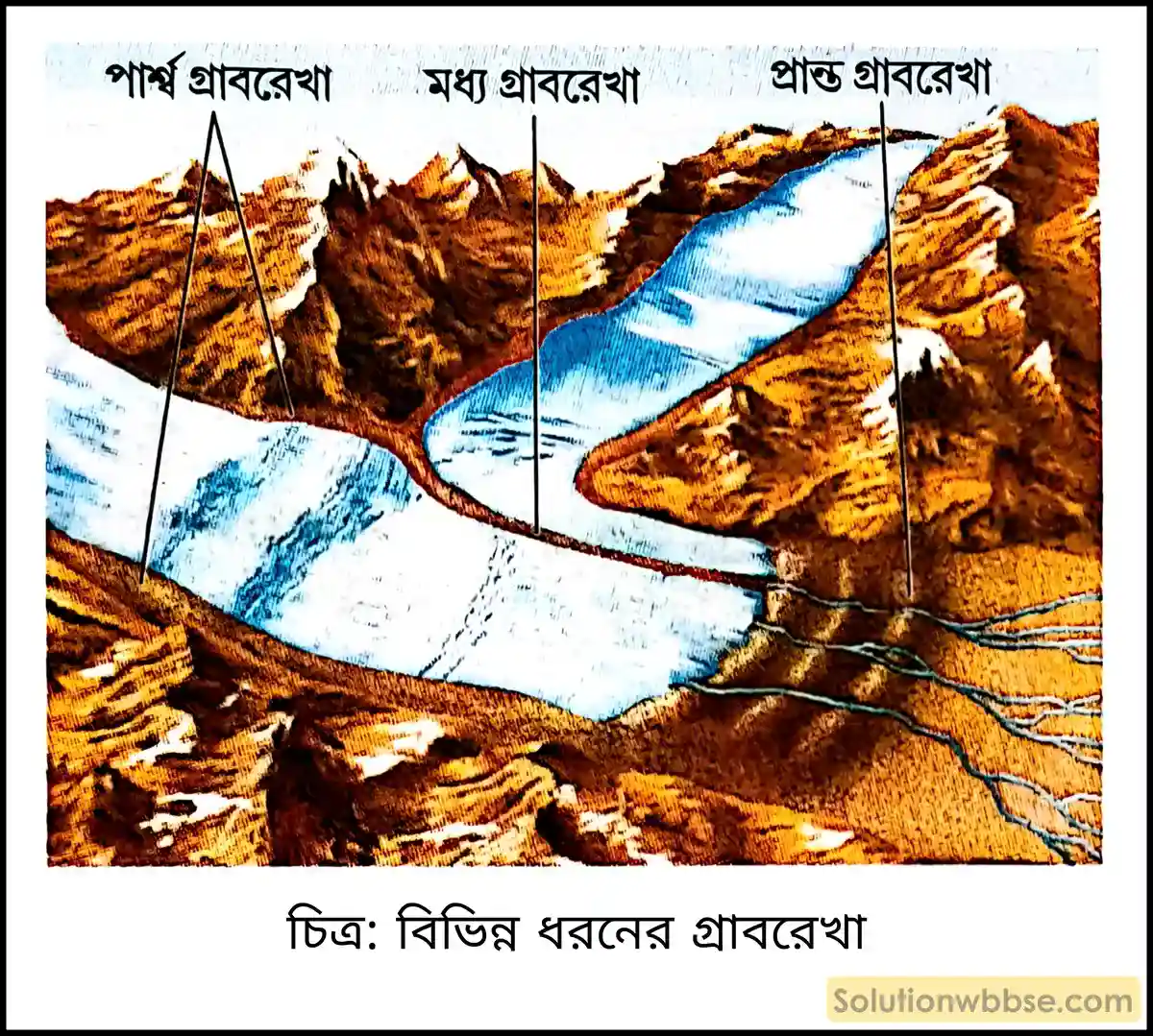 বিভিন্ন ধরনের গ্রাবরেখা