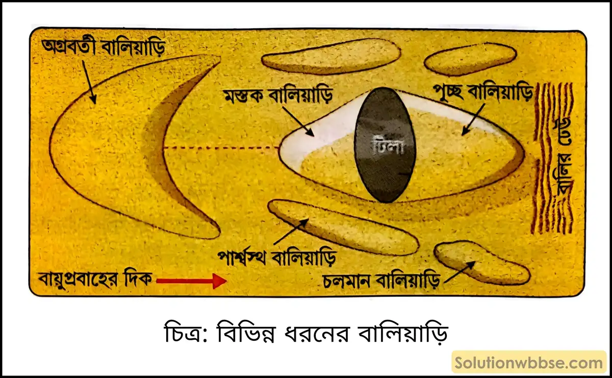 মাধ্যমিক ভূগোল - বহির্জাত প্রক্রিয়া ও তাদের দ্বারা সৃষ্ট ভূমিরূপ - বায়ুর বিভিন্ন কাজ দ্বারা সৃষ্ট ভূমিরূপ - দীর্ঘধর্মী প্রশ্ন ও উত্তর 13 বিভিন্ন ধরনের বালিয়াড়ি