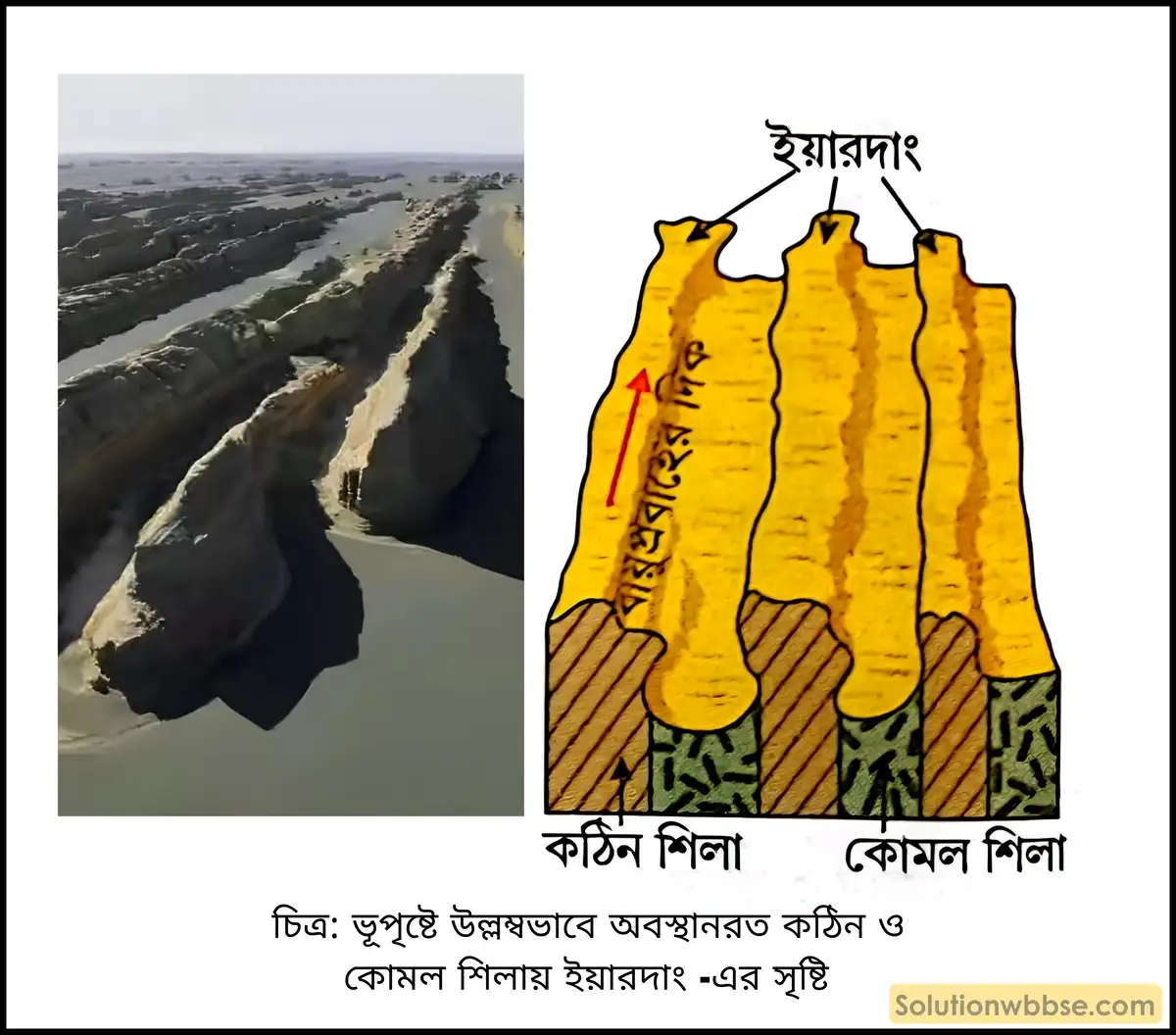 মাধ্যমিক ভূগোল - বহির্জাত প্রক্রিয়া ও তাদের দ্বারা সৃষ্ট ভূমিরূপ - বায়ুর বিভিন্ন কাজ দ্বারা সৃষ্ট ভূমিরূপ - দীর্ঘধর্মী প্রশ্ন ও উত্তর 5 ইয়ারদাং