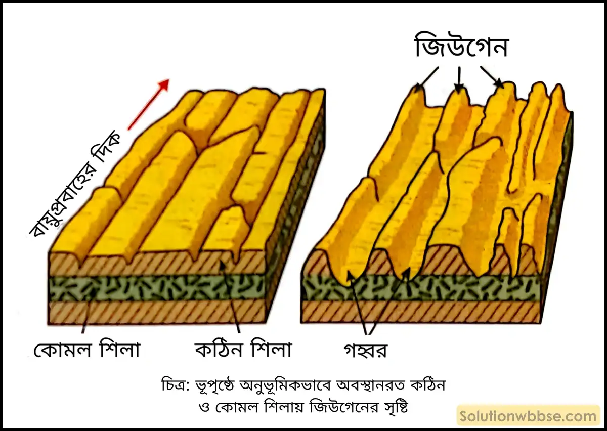 মাধ্যমিক ভূগোল - বহির্জাত প্রক্রিয়া ও তাদের দ্বারা সৃষ্ট ভূমিরূপ - বায়ুর বিভিন্ন কাজ দ্বারা সৃষ্ট ভূমিরূপ - দীর্ঘধর্মী প্রশ্ন ও উত্তর 4 জিউগেন