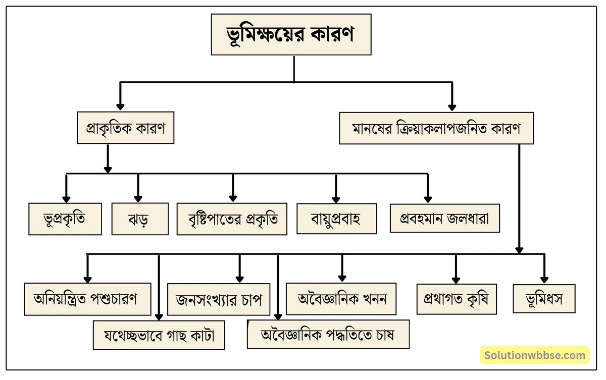 মাধ্যমিক ভূগোল - ভারতের প্রাকৃতিক পরিবেশ - ভারতের মৃত্তিকা - দীর্ঘধর্মী প্রশ্ন ও উত্তর 8 ভূমিক্ষয়ের কারণ