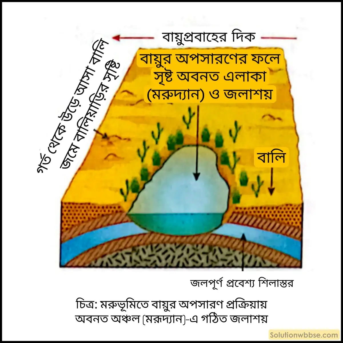 মাধ্যমিক ভূগোল - বহির্জাত প্রক্রিয়া ও তাদের দ্বারা সৃষ্ট ভূমিরূপ - বায়ুর বিভিন্ন কাজ দ্বারা সৃষ্ট ভূমিরূপ - ব্যাখ্যামূলক প্রশ্ন ও উত্তর 3 বায়ুর অপসারণের ফলে সৃষ্ট ভূমিরূপগুলি কী কী?