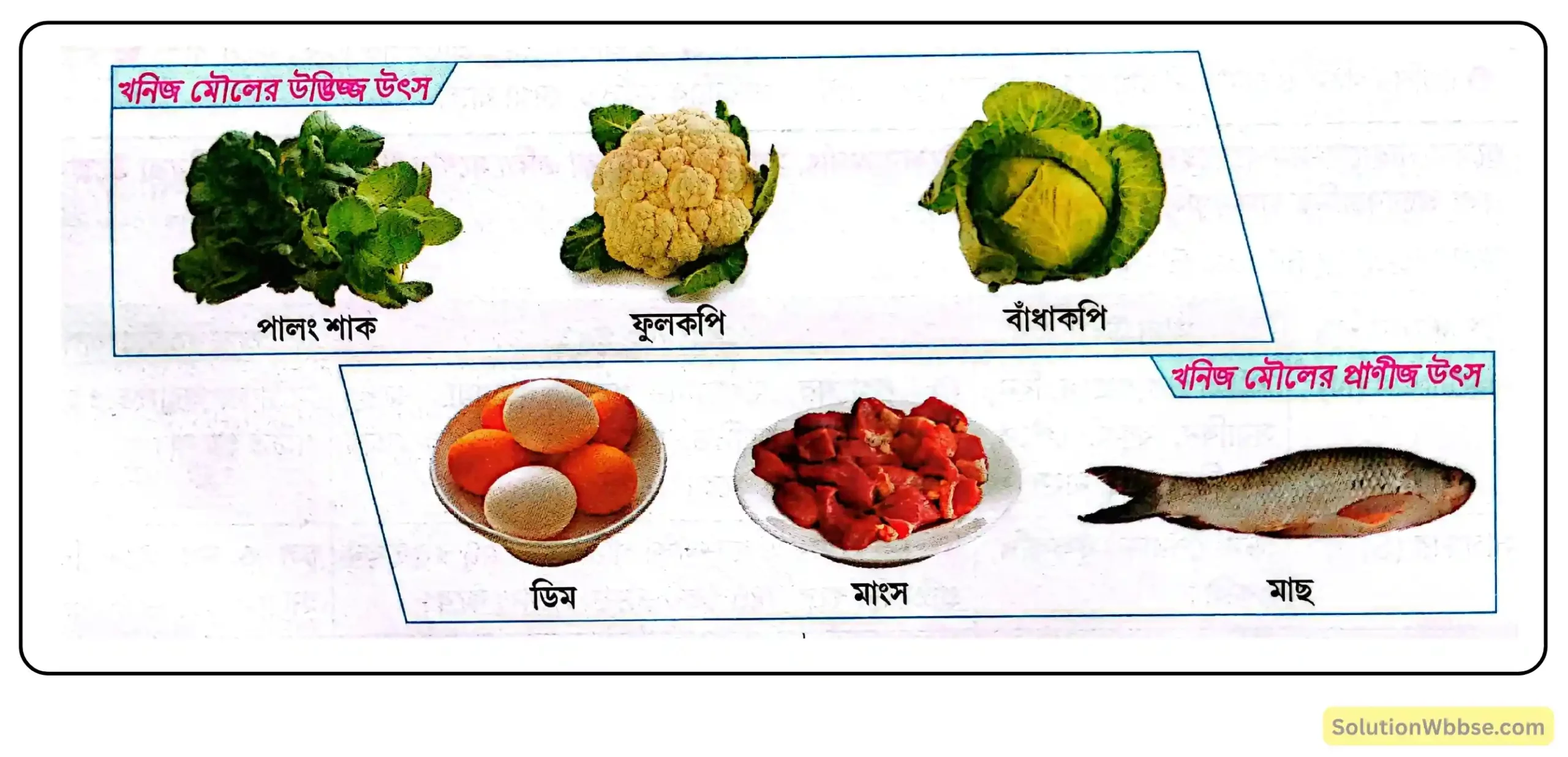 নবম শ্রেণী জীবনবিজ্ঞান - জীবন সংগঠনের স্তর - জৈব অণু এবং তাদের বৈশিষ্ট্য - রচনাধর্মী প্রশ্ন ও উত্তর 25 মানবদেহের বিভিন্ন খনিজ মৌল