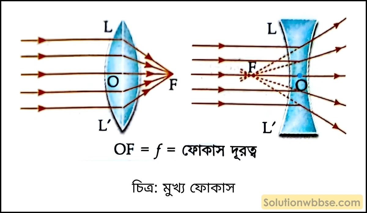 মাধ্যমিক ভৌতবিজ্ঞান - আলো - লেন্স, আলোর বিচ্ছুরণ, মানুষের চোখ ও আলোক তরঙ্গ 6 মুখ্য ফোকাস