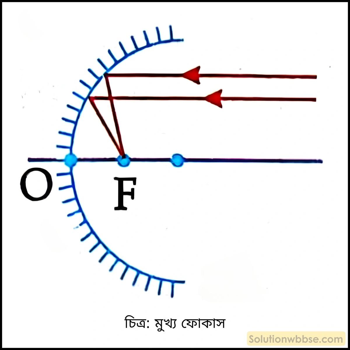 মাধ্যমিক ভৌতবিজ্ঞান - আলো - আলোর প্রতিফলন ও দর্পণ 6 মুখ্য ফোকাস