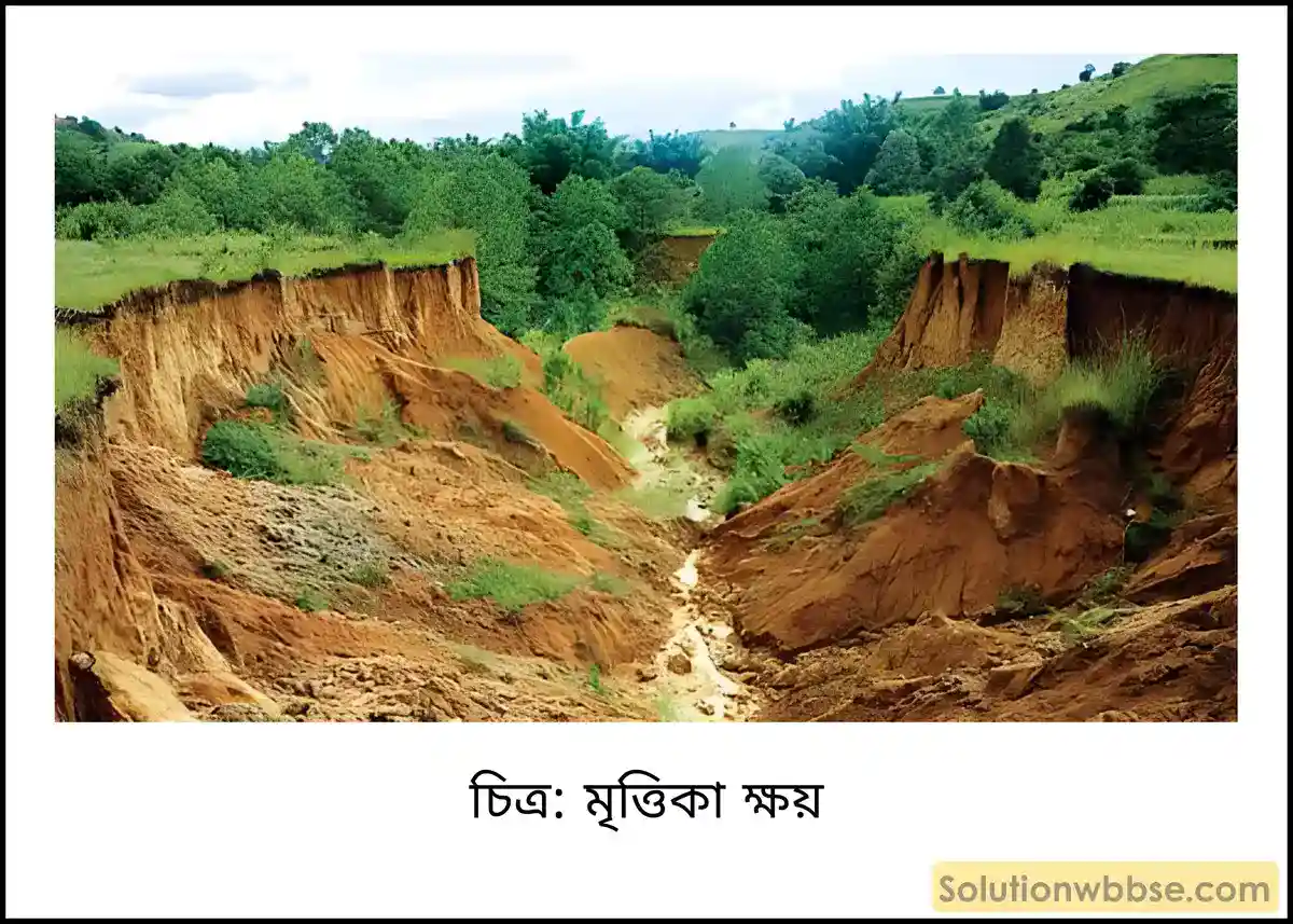 মাধ্যমিক ভূগোল - ভারতের প্রাকৃতিক পরিবেশ - ভারতের মৃত্তিকা - দীর্ঘধর্মী প্রশ্ন ও উত্তর 9 মৃত্তিকা ক্ষয়