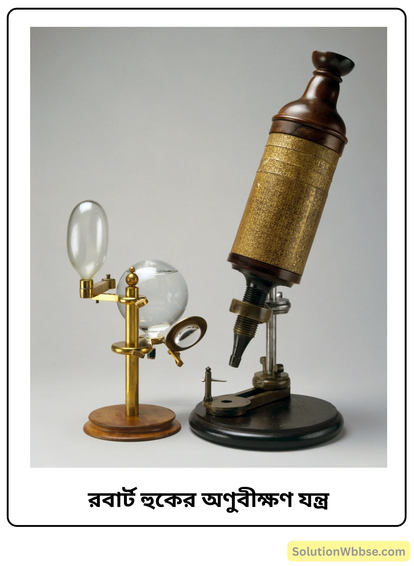 রবার্ট হুকের অণুবীক্ষণ যন্ত্র