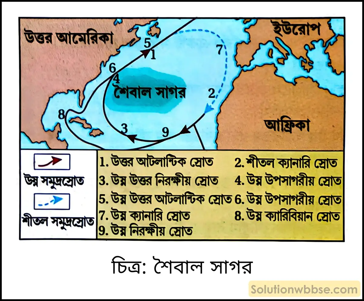 মাধ্যমিক ভূগোল - বারিমণ্ডল - সমুদ্রস্রোত - সংক্ষিপ্ত প্রশ্ন ও উত্তর 2 শৈবাল সাগর