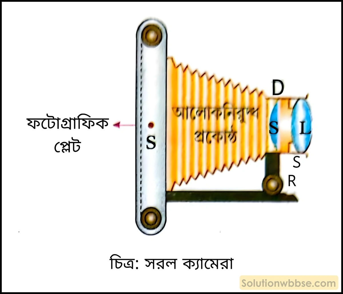 সরল ক্যামেরা