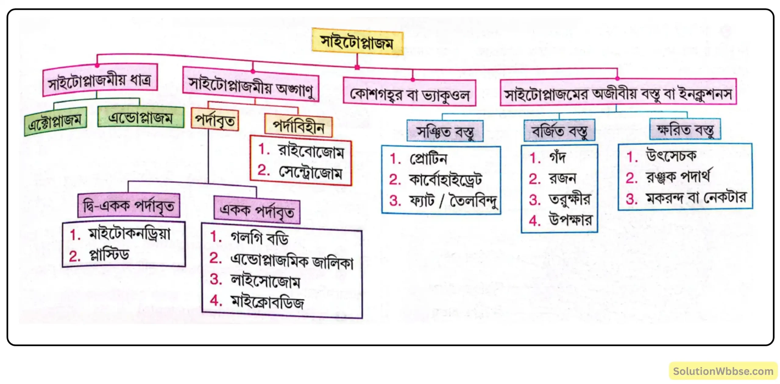 সাইটোপ্লাজমের গঠন