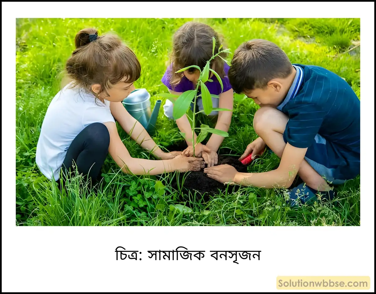 মাধ্যমিক ভূগোল - ভারতের প্রাকৃতিক পরিবেশ - ভারতের স্বাভাবিক উদ্ভিদ - ব্যাখ্যামূলক প্রশ্ন ও উত্তর 3 সামাজিক বনসৃজন