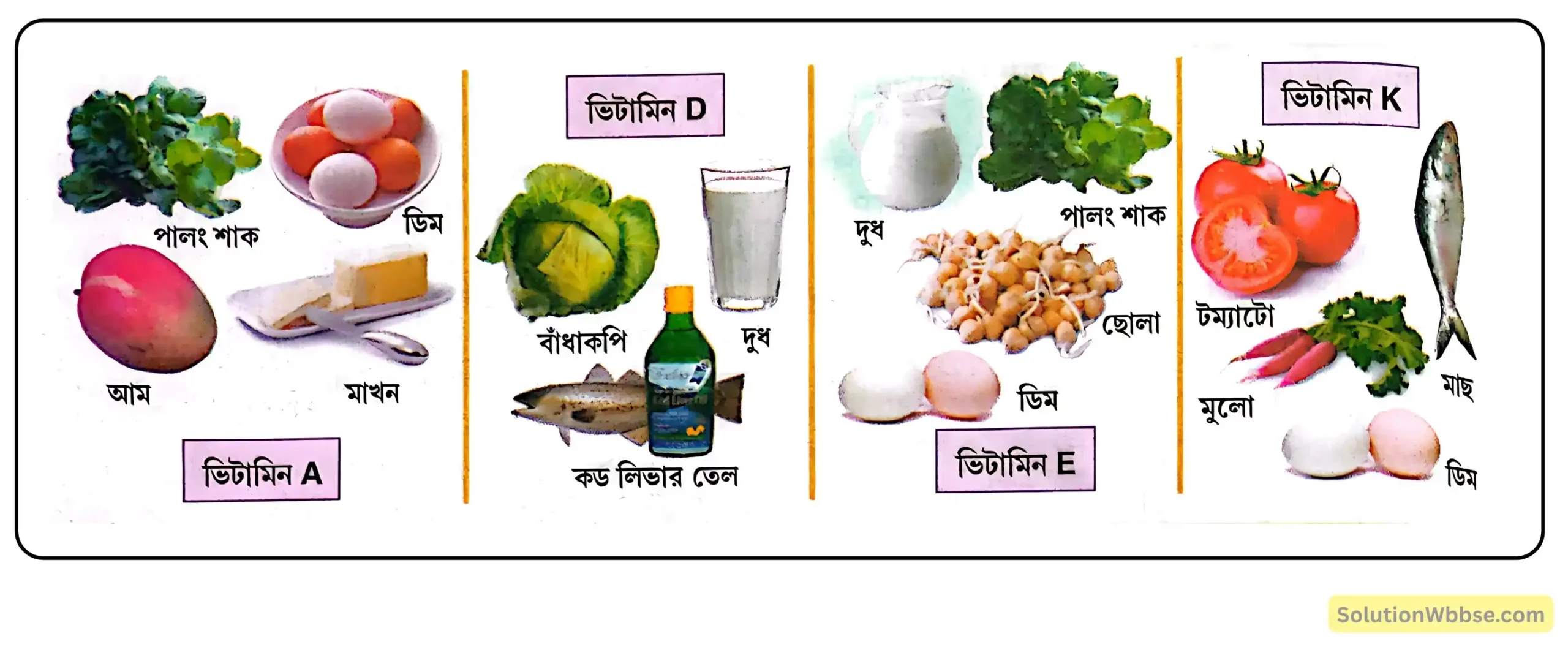 নবম শ্রেণী জীবনবিজ্ঞান - জীবন সংগঠনের স্তর - জৈব অণু এবং তাদের বৈশিষ্ট্য - রচনাধর্মী প্রশ্ন ও উত্তর 21 স্নেহপদার্থে দ্রবীভূত ভিটামিনগুলির (Vitamins) নাম, উৎস, কাজের সারণি
