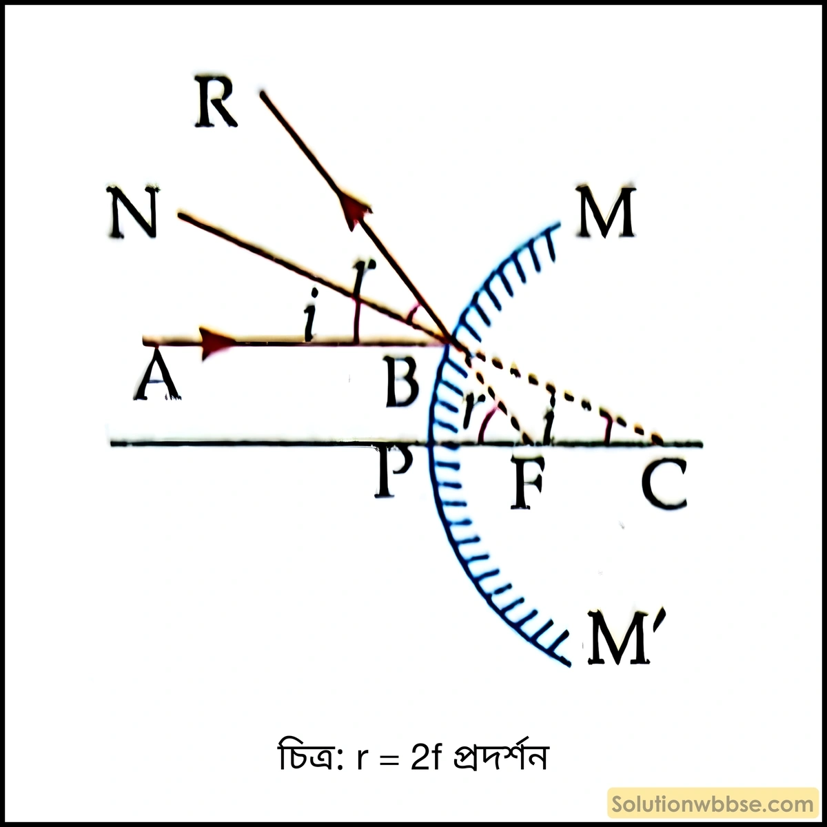 উপাক্ষীয় রশ্মির ক্ষেত্রে, প্রমাণ করো উত্তল দর্পণের বক্রতা ব্যাসার্ধ ফোকাস দূরত্বের দ্বিগুণ। 1 উপাক্ষীয় রশ্মির ক্ষেত্রে, প্রমাণ করো উত্তল দর্পণের বক্রতা ব্যাসার্ধ ফোকাস দূরত্বের দ্বিগুণ।