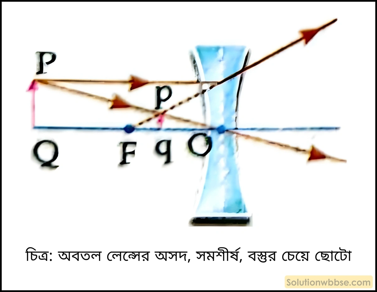 অবতল লেন্সের অসদ, সমশীর্ষ, বস্তুর চেয়ে ছোটো