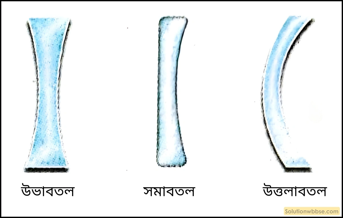 অবতল লেন্সের প্রকারভেদ
