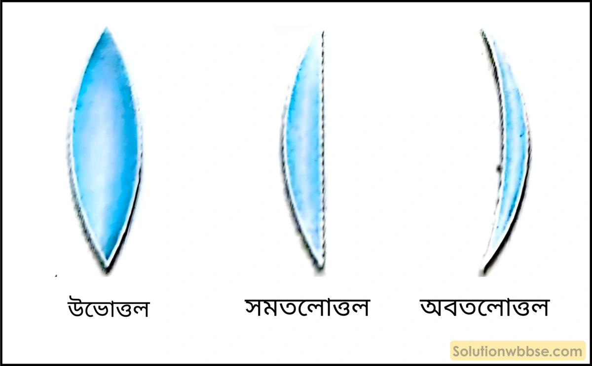 উত্তল লেন্সের প্রকারভেদ