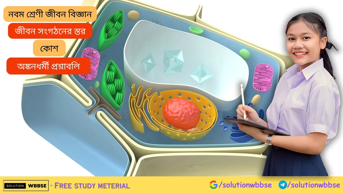 Home 2 কোশ – অঙ্কনধর্মী প্রশ্নাবলি