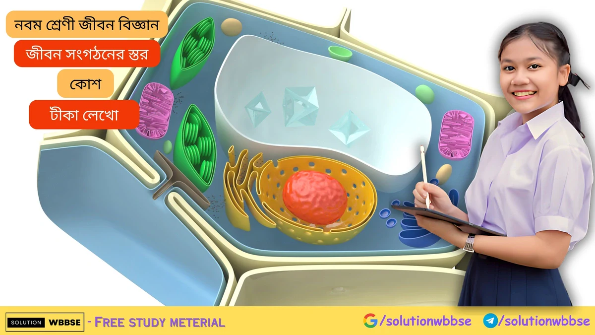 Home 4 কোশ – টীকা লেখো