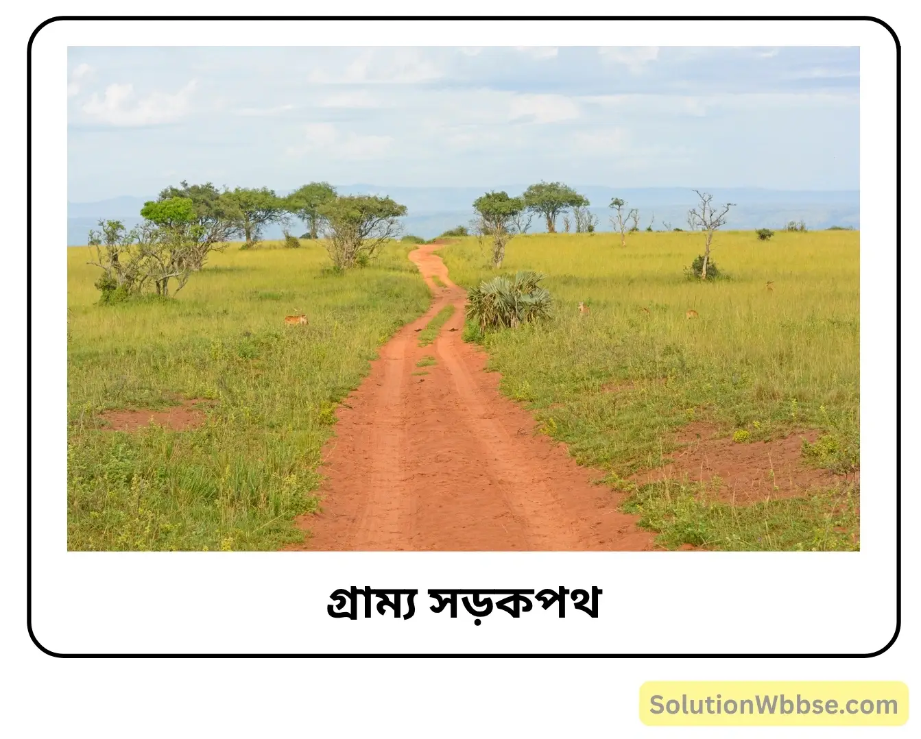গ্রাম্য সড়কপথ