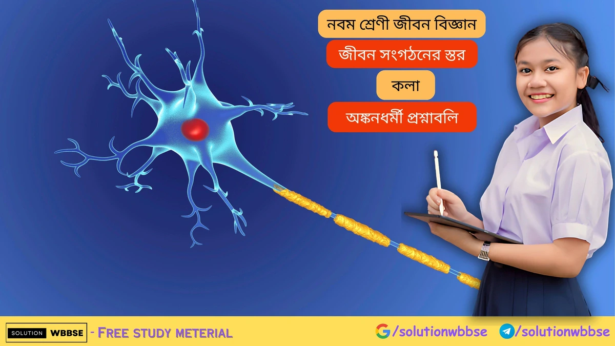 জীবন সংগঠনের স্তর – কলা – অঙ্কনধর্মী প্রশ্নাবলি