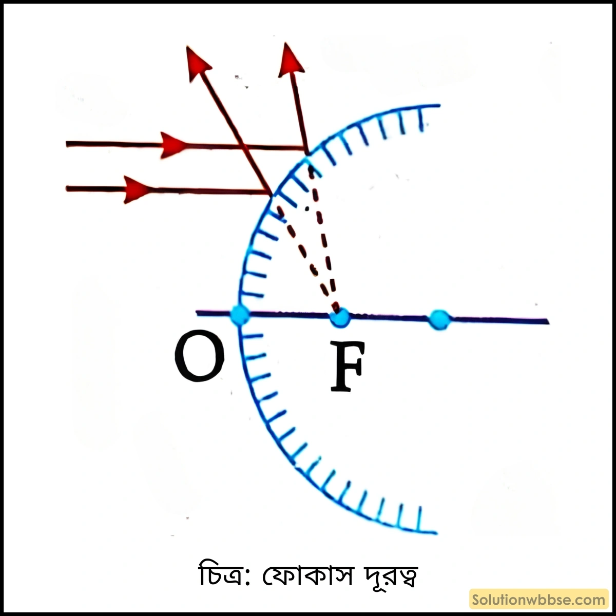 ফোকাস দূরত্ব